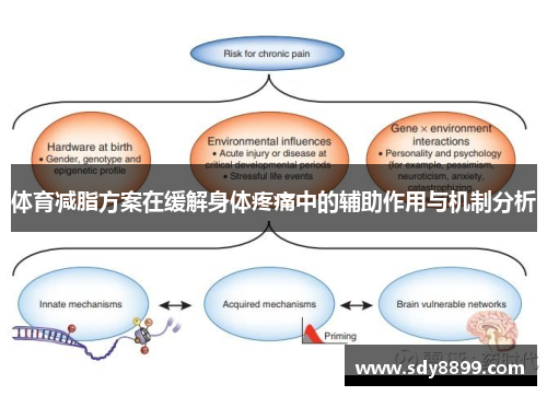 体育减脂方案在缓解身体疼痛中的辅助作用与机制分析